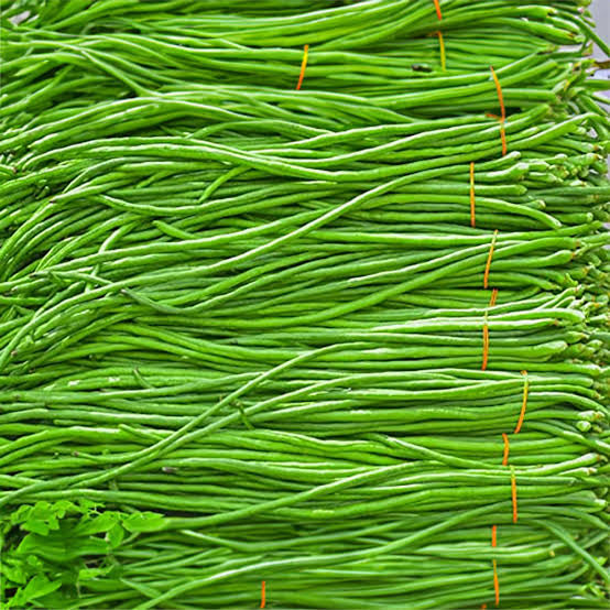 Green Yard Long Beans(പച്ച മീറ്റർ പയർ)seed