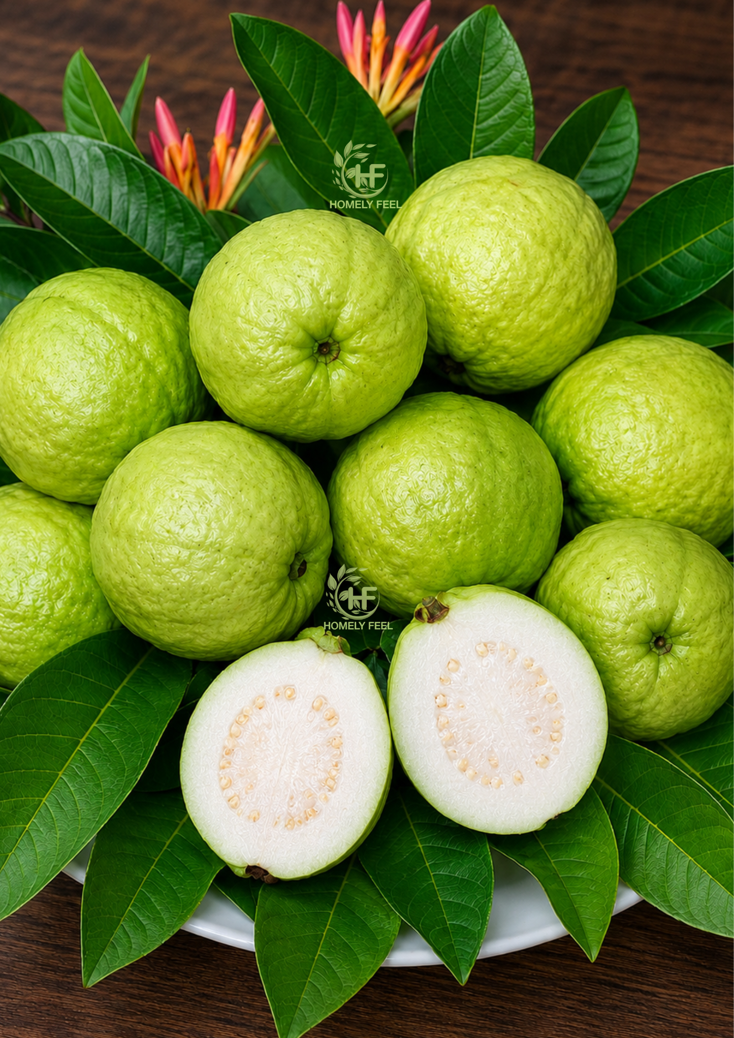 Allahabad Safeda Guava(Layered Plant)