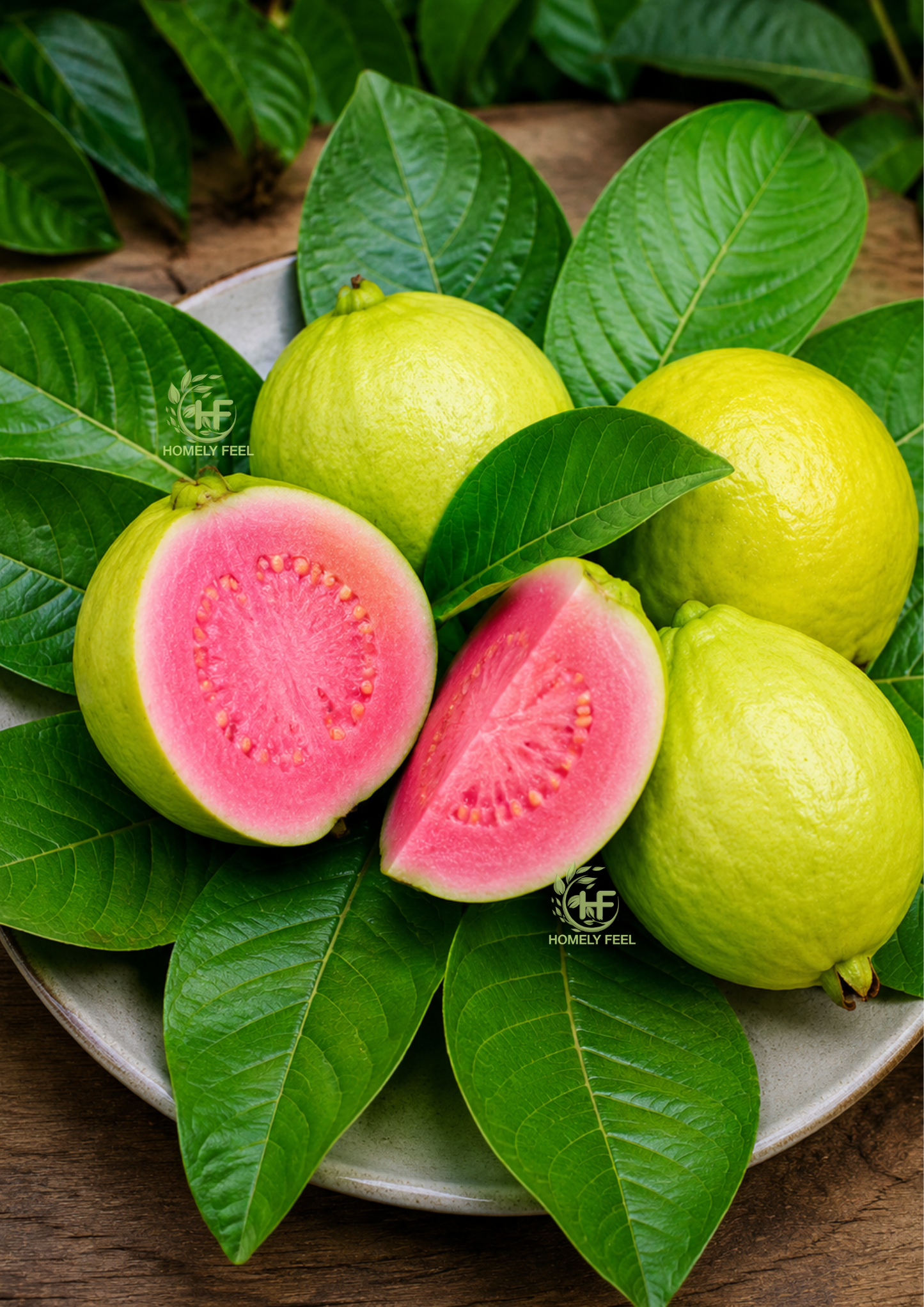 Lalit Guava(Layered Plant)
