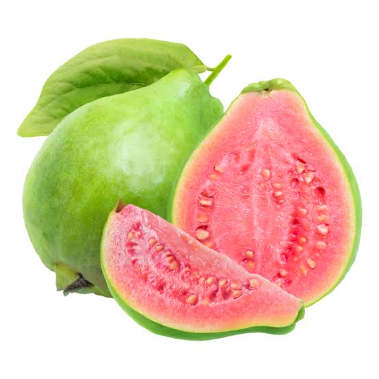 Taiwan Pink Guava(Layered Plant)