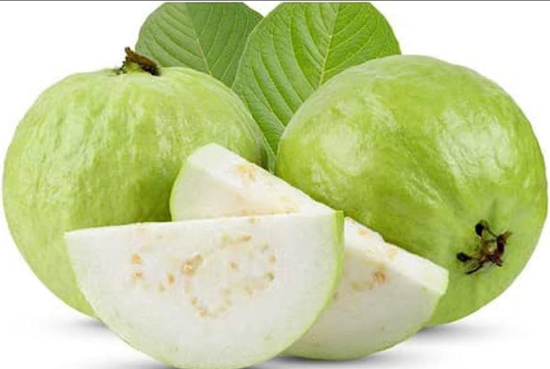 L49 Guava Layered (2 plants combo)