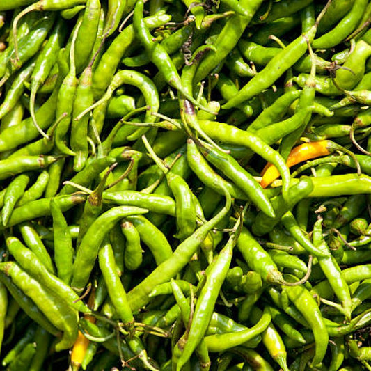 Green Chilli(പച്ച മുളക്)seed