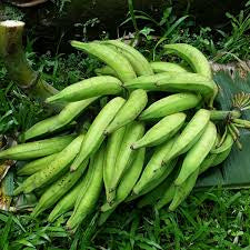 Nendran Banana(Tissue Culture)