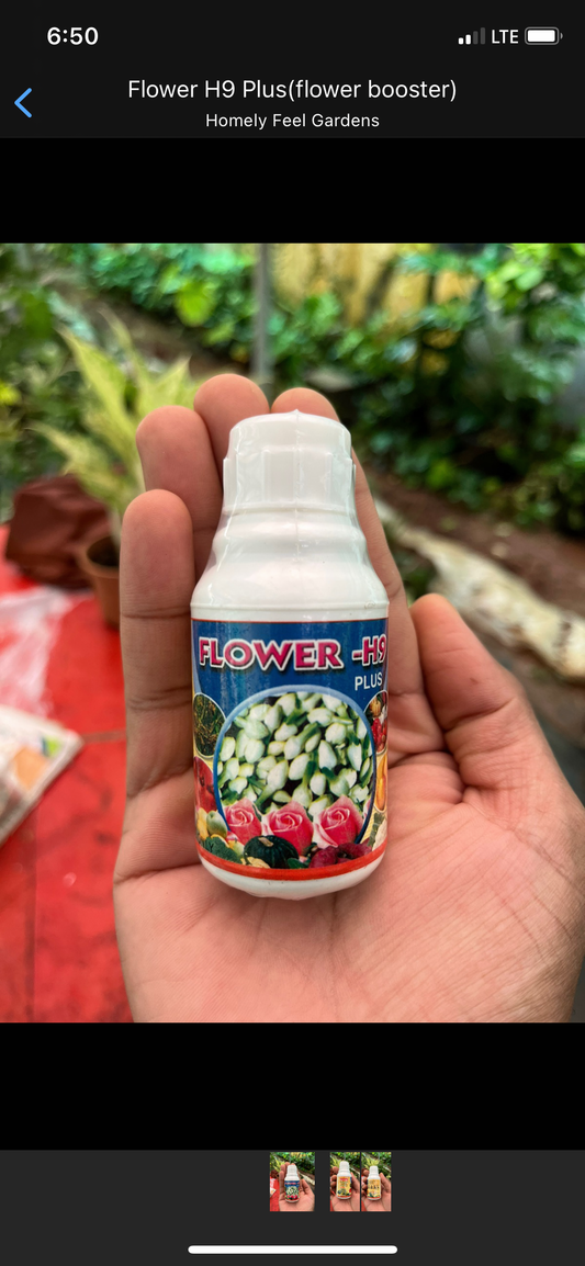 Flower H9 (flower booster)